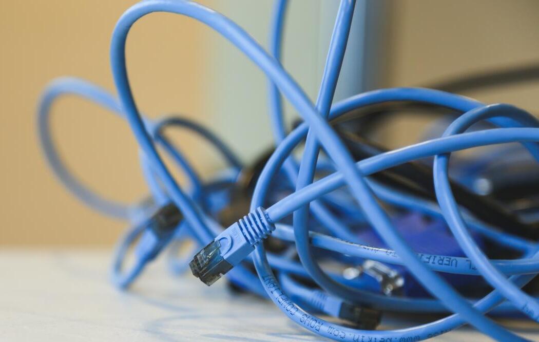 Network cable photo