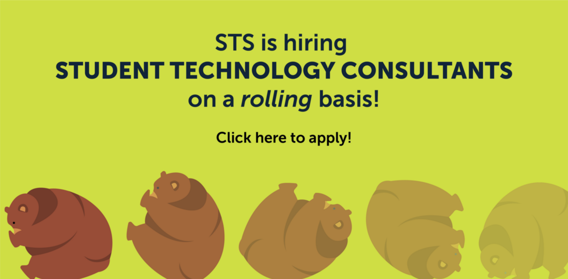 Image: Rolling bear. Text: STS is hiring Student Technology Consultants on a rolling basis! Click here to apply!